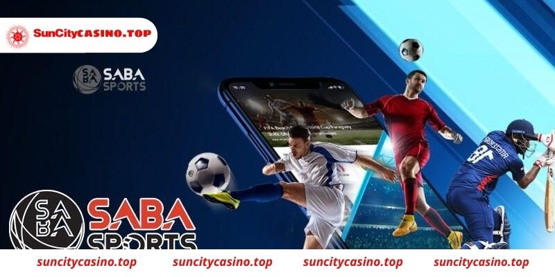 Mẹo chơi cá cược bóng đá SABA Sports Suncity dễ thắng