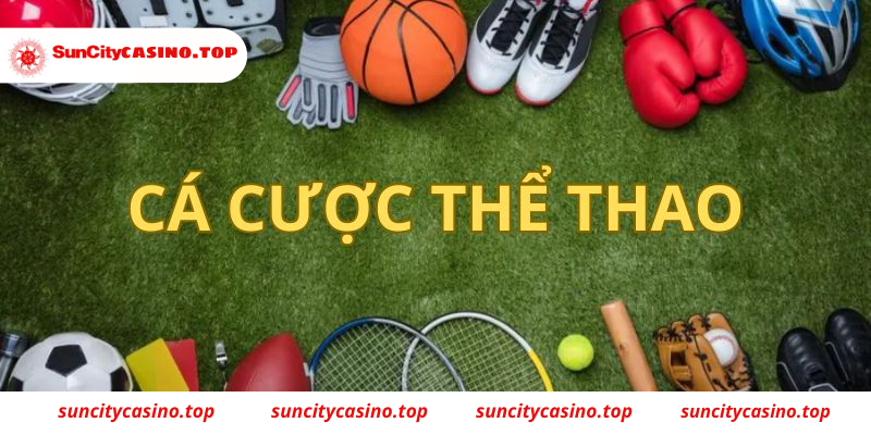 Các môn thể thao khác tại Suncity 